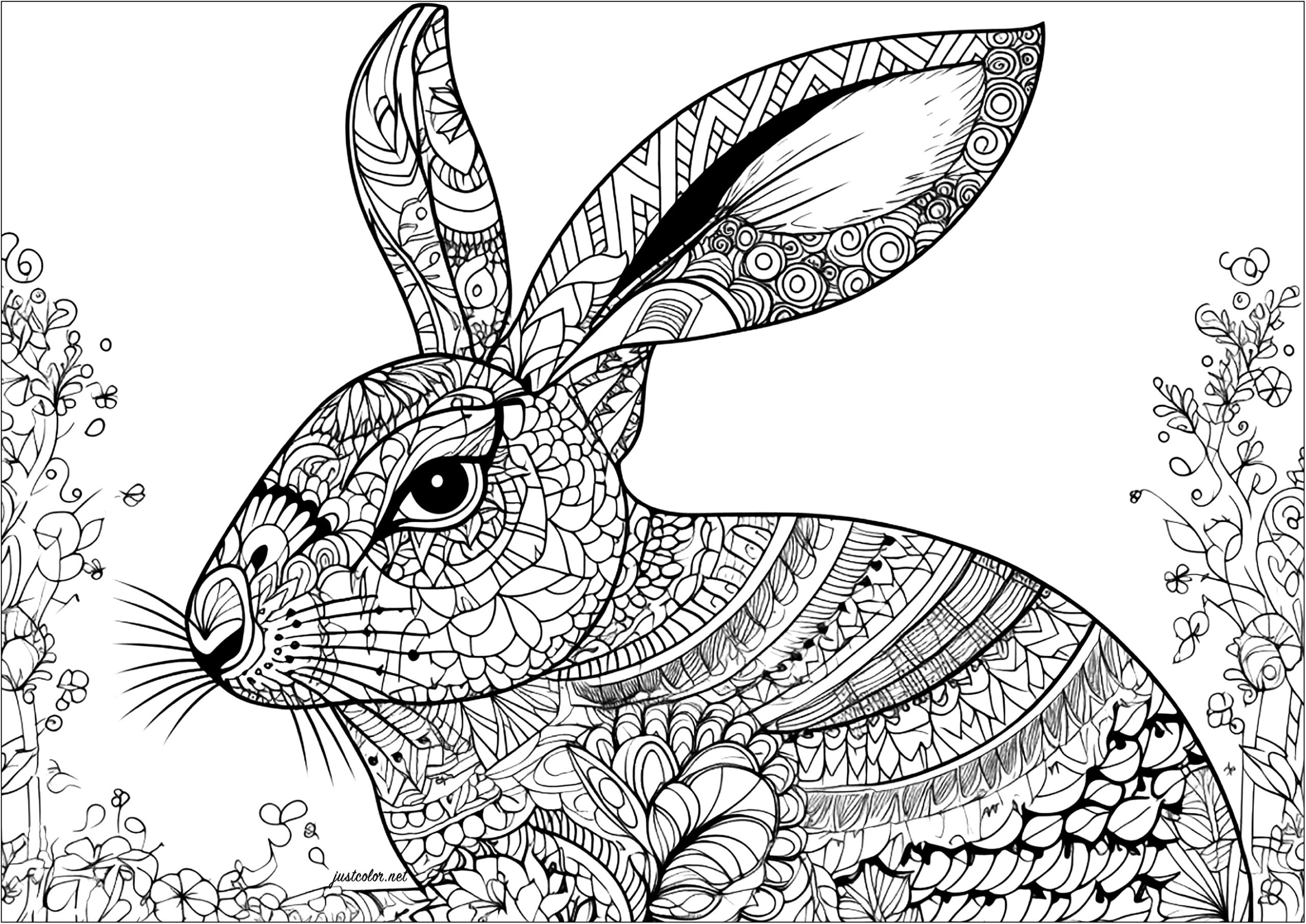 Realistic Rabbit With Pretty Patterns Rabbits Coloring Pages For Adults
