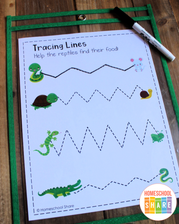 Reptile Printables For Preschool Homeschool Share