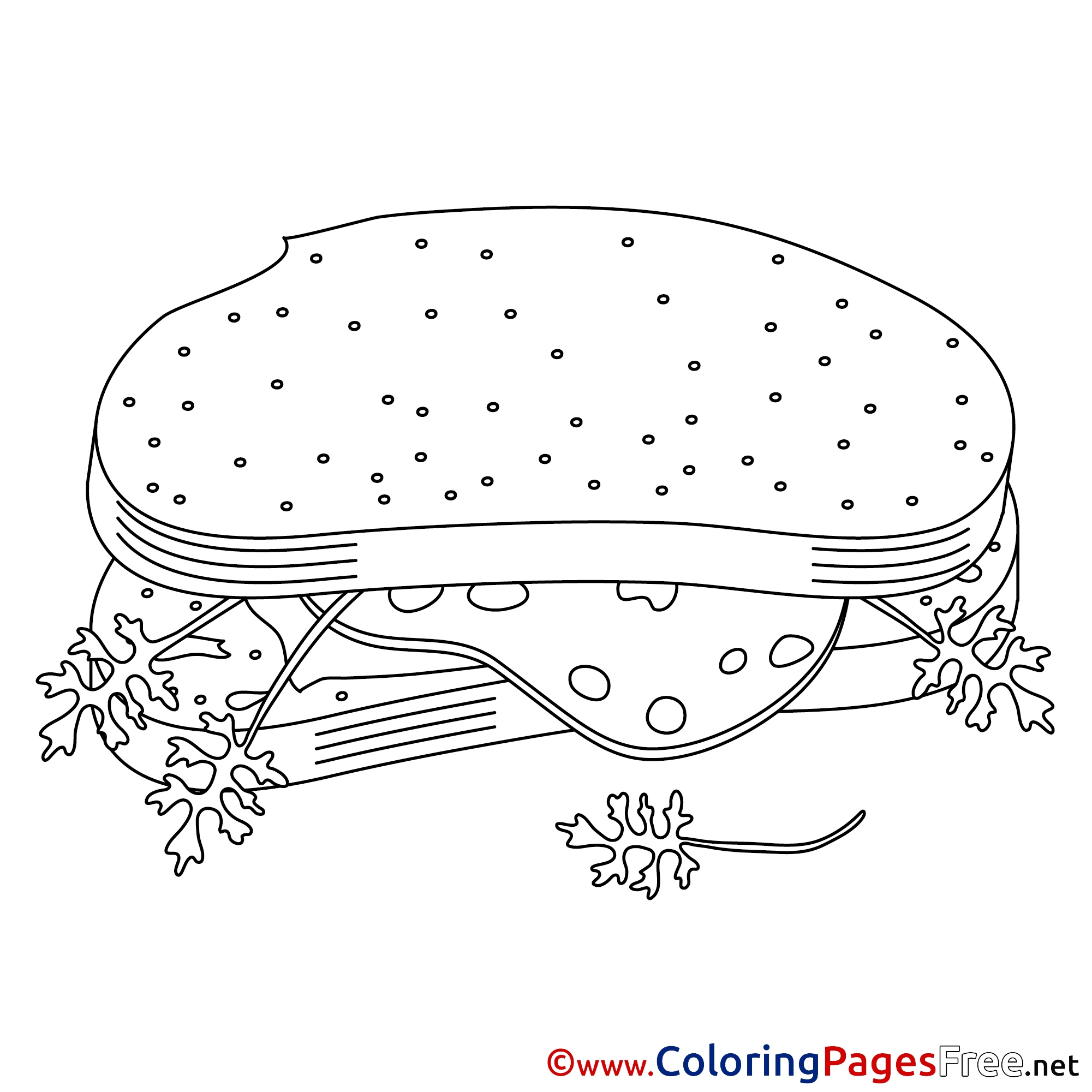 Sandwich Colouring Page Printable Free