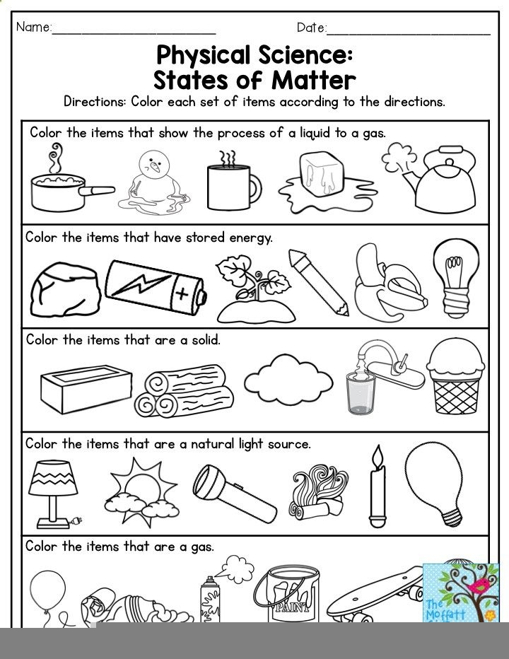 Science Worksheet First Grade Scienceworksheets