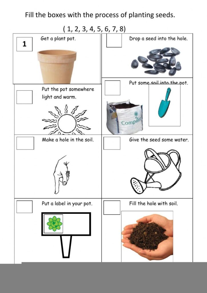 Science Worksheets For Grade 2 Plants 2nd Grade Science Worksheets