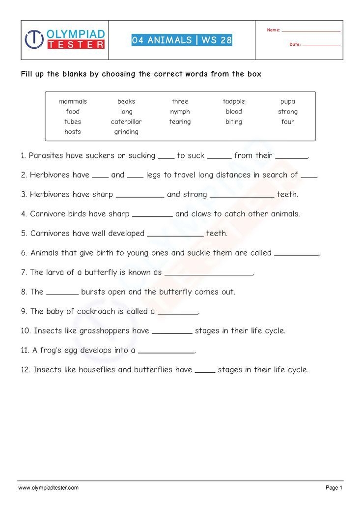 Science Worksheets Grade 4 Pdf Scienceworksheets