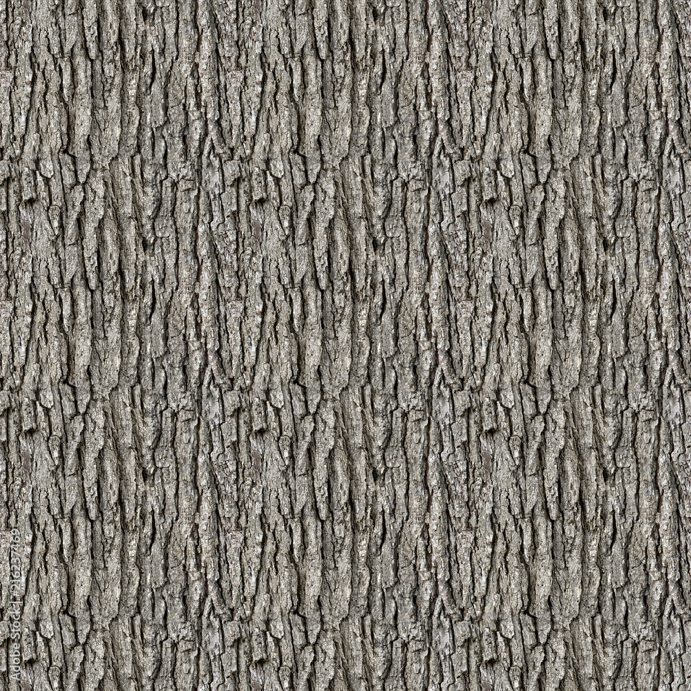 Seamless Tileable Tree Bark Texture background Stock Photo Adobe Stock