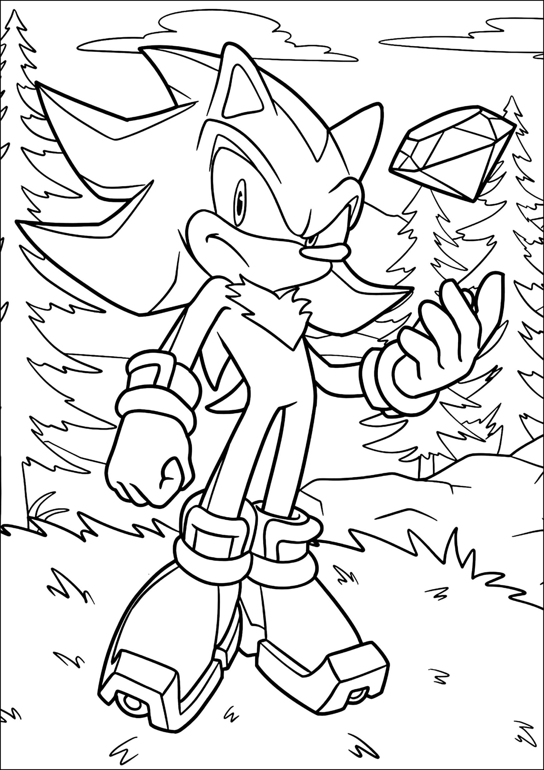 Shadow The Hedgehog In A Fir Forest Sonic The Hedgehog Kids Coloring 