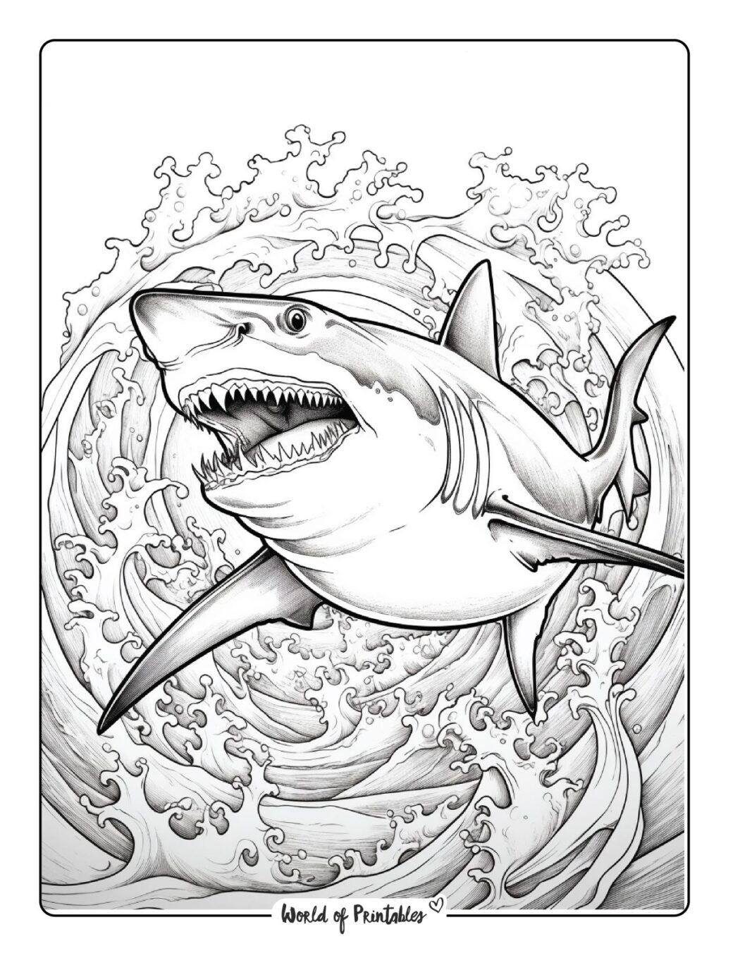 Shark Coloring Pages For Kids Adults World Of Printables
