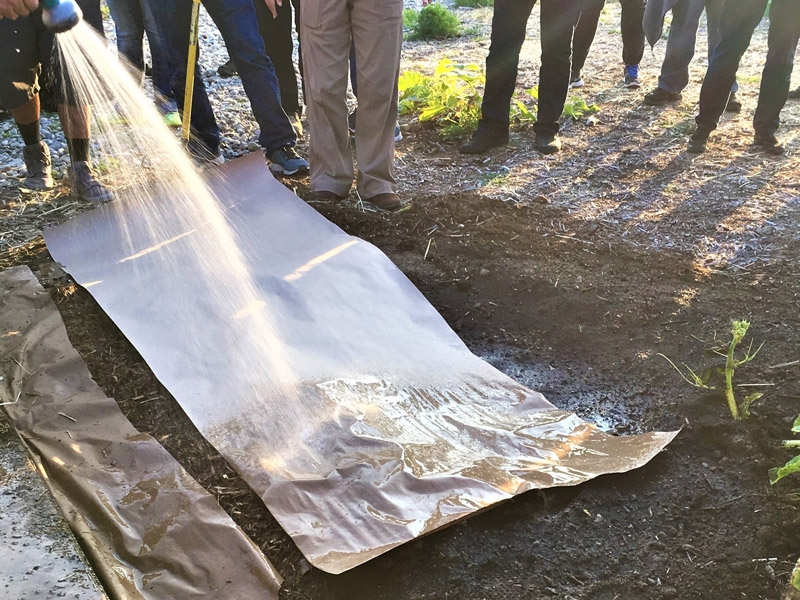 Sheet Mulching California Native Plant Society