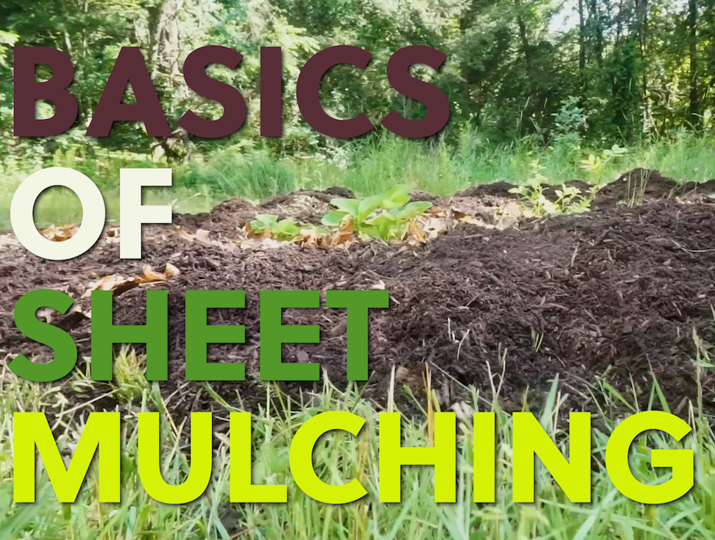 Sheet Mulching Fine Gardening