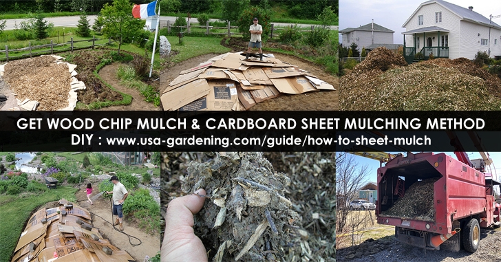 Sheet Mulching Over Grass List Of Materials To Sheet Mulch