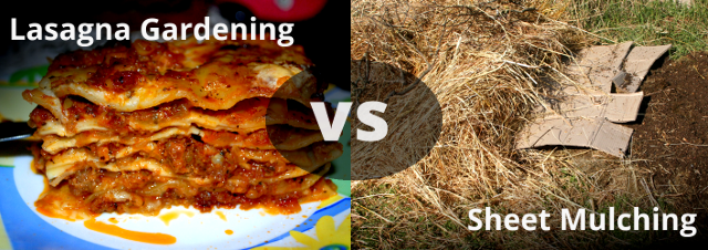 Sheet Mulching Vs Lasanga Gardening Gardens That Matter