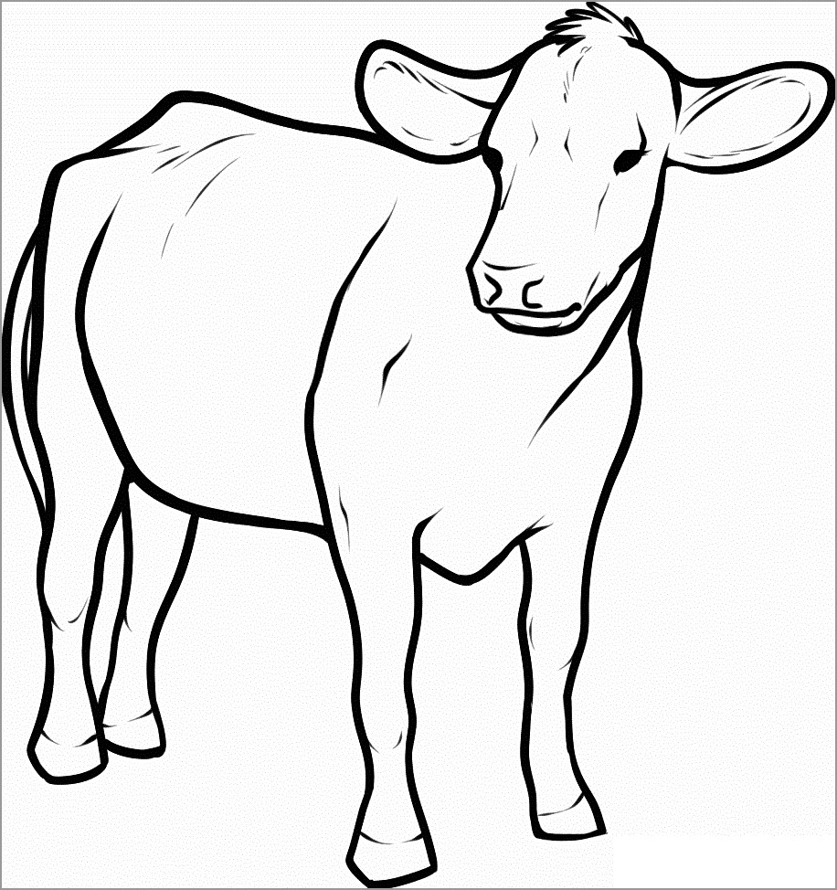 Simple Cow Coloring Page ColoringBay