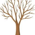 Simple Tree With No Leaves