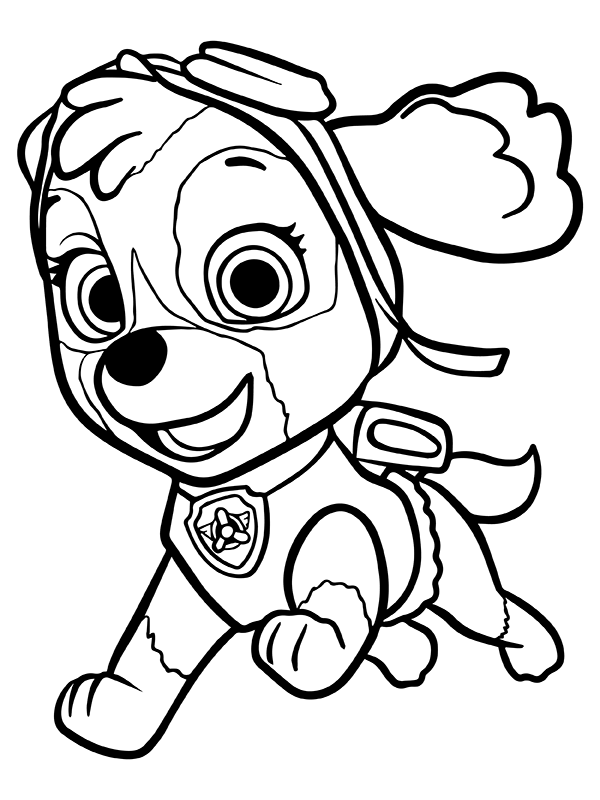 Skye Paw Patrol