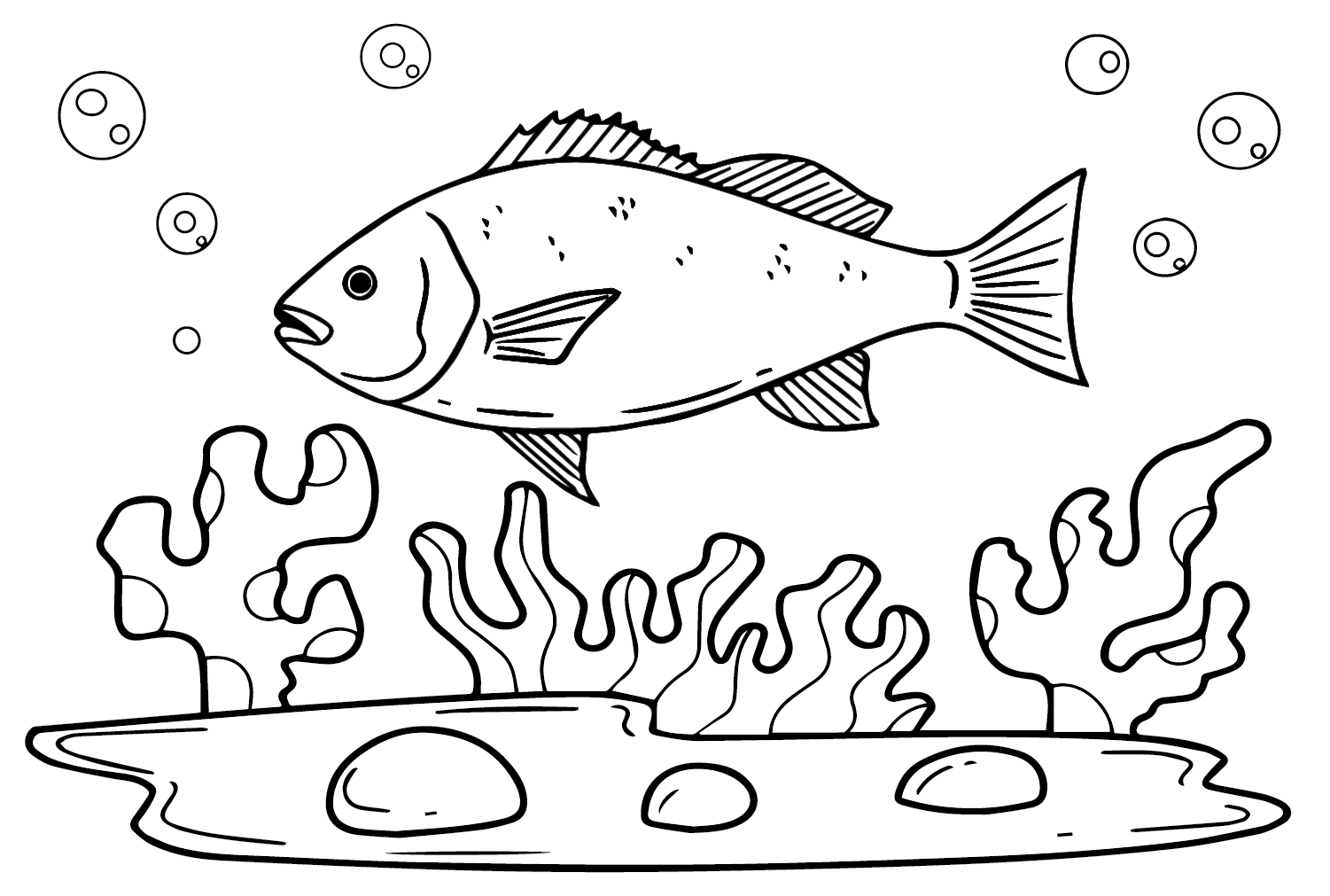 Snapper Fish Coloring Page Free Printable Coloring Pages