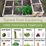 Square Foot Garden And Free Printable Template Pin For Pinterest