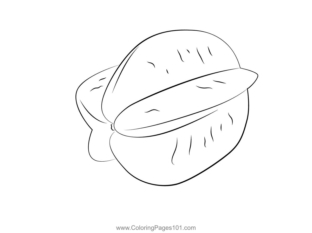 Star Coloring Page For Kids Free Star Fruit Printable Coloring Pages 
