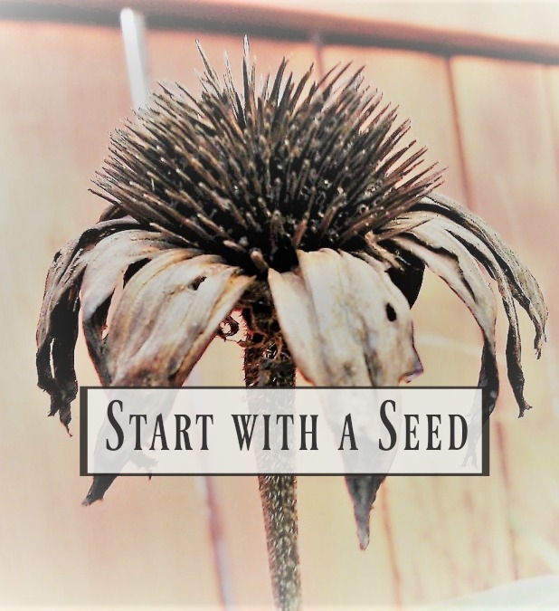 Start With A Seed Series part 2 Garden Planning Printable
