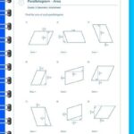 Supports White Rose Interactive Area Of A Parallelogram PDF
