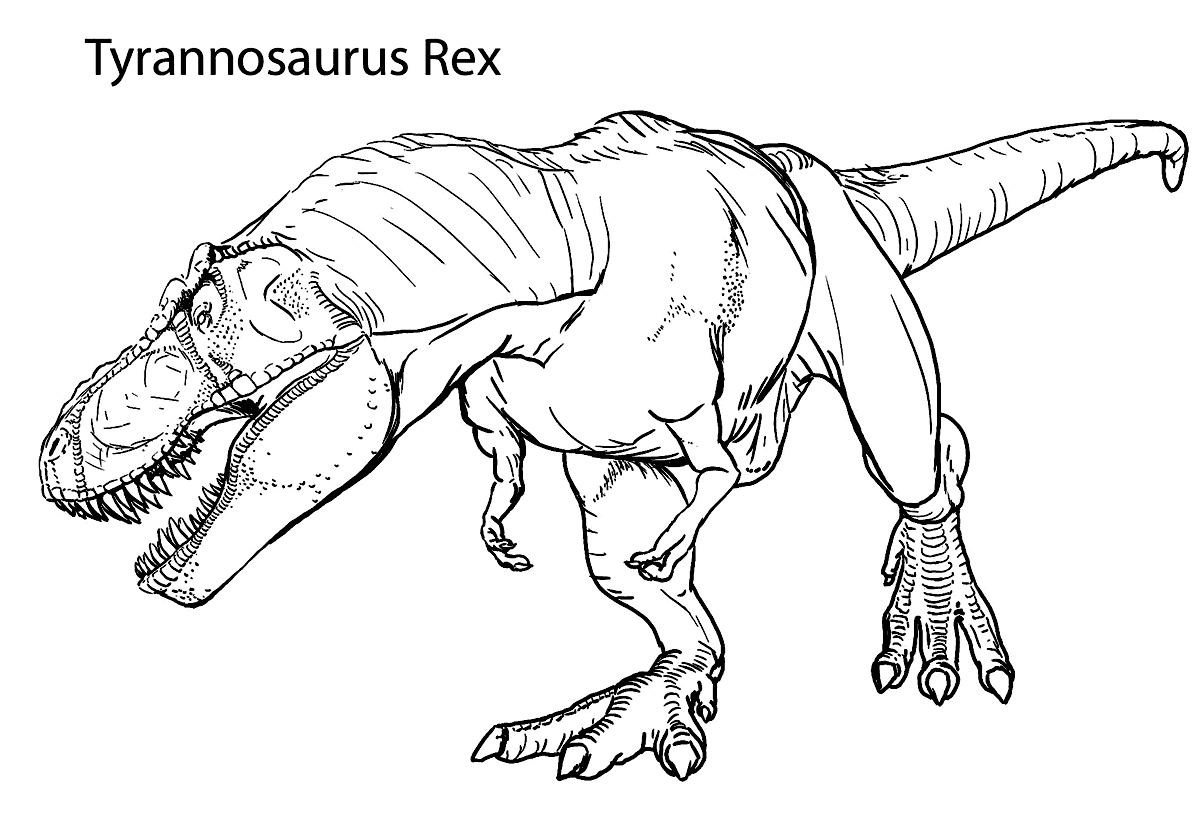 T Rex Coloring Pages