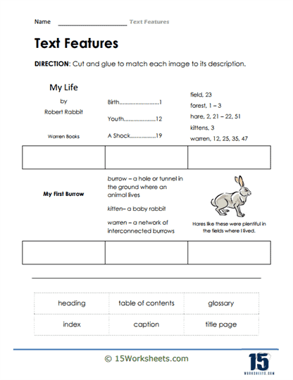 Text Features Worksheets 15 Worksheets Worksheets Library