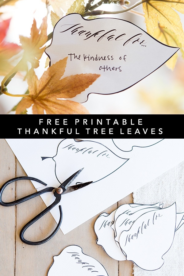 thankful tree leaves printable pdf free download