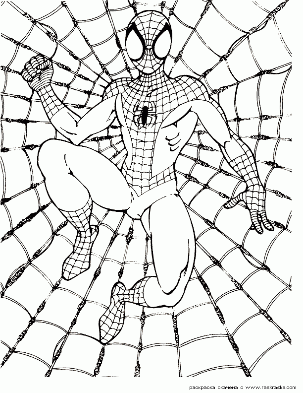 The Amazing Spider Man Coloring Pages Spiderman Color Pages Print Out