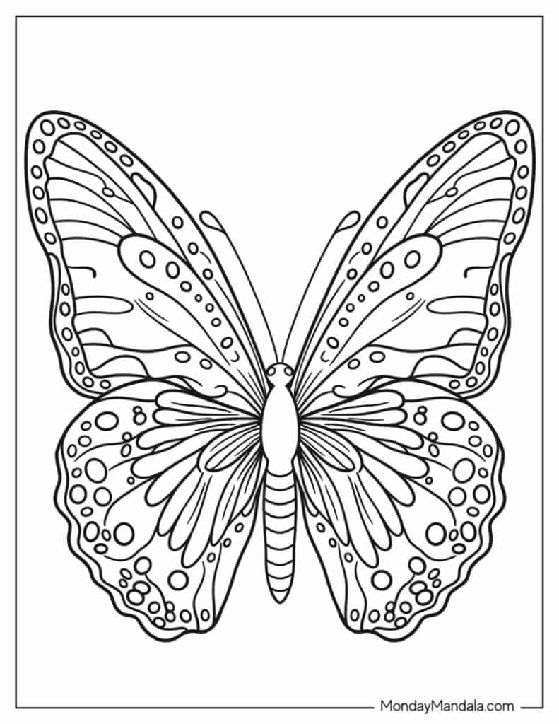 The Enchanting World Of A Color Page Of Butterfly