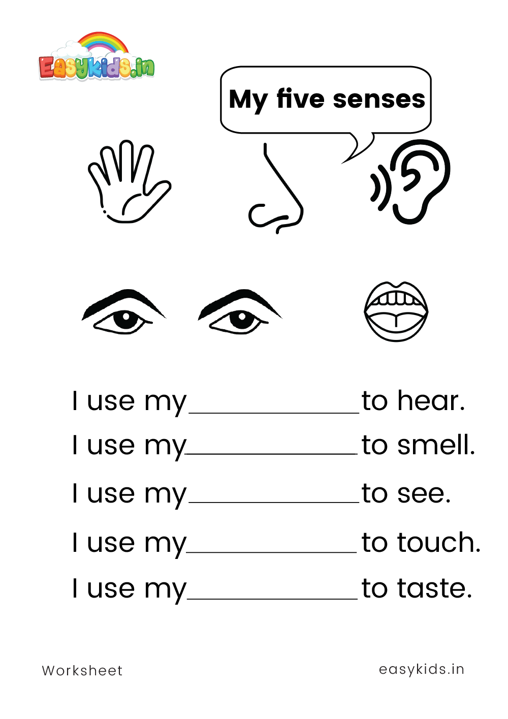 5 senses worksheet