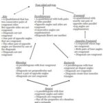 The Quadrilateral Family Tree MooMoo Math
