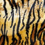 Tiger Print Wallpapers Top Free Tiger Print Backgrounds WallpaperAccess
