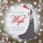 To My Darling Wife Handmade Christmas Card ACV16 Tilt Art