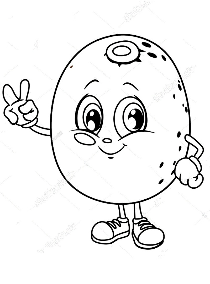 printable kiwi picture