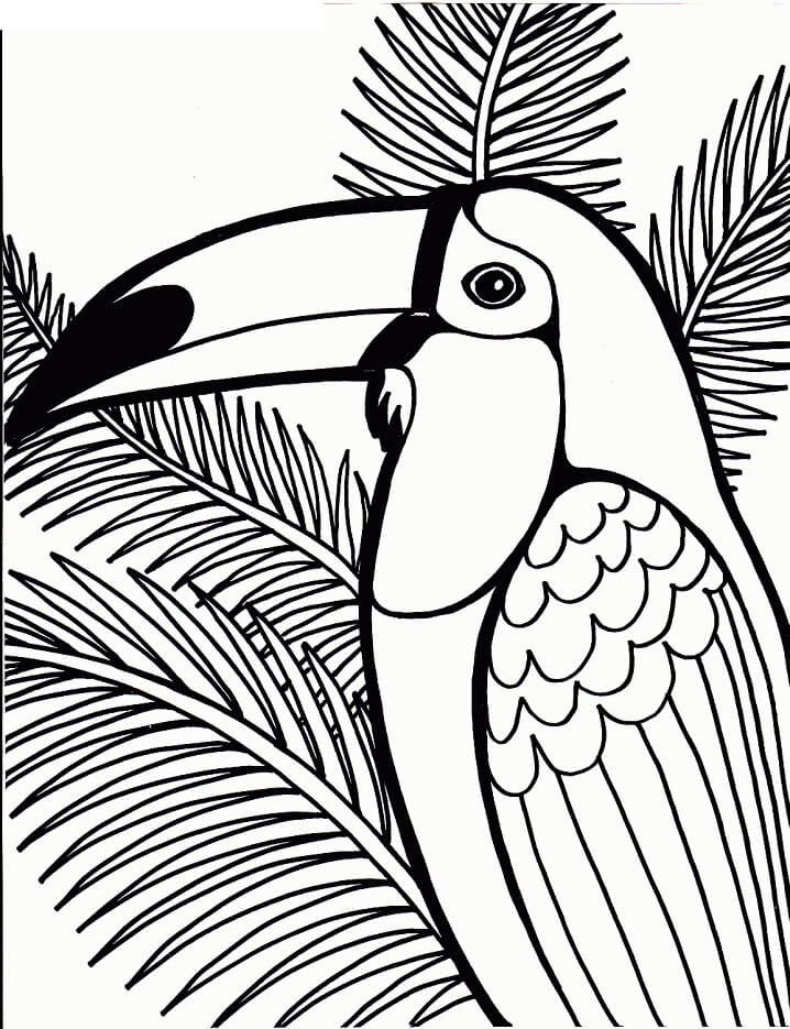 Toucan Bird 3 Coloring Page Free Printable Coloring Pages For Kids