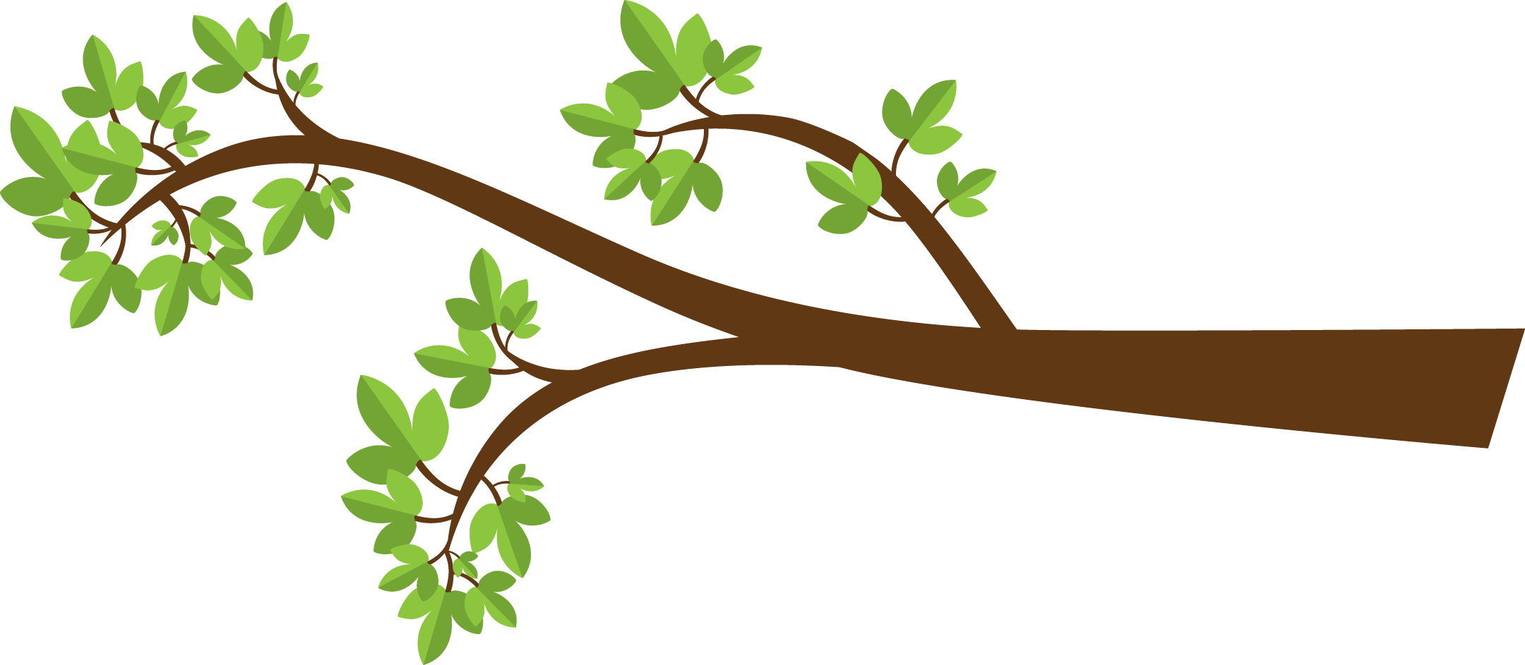Tree Branche ClipArt Best