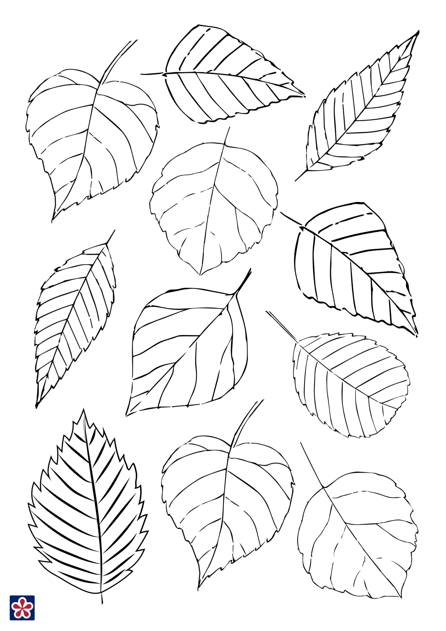 Tree Cut Out Template