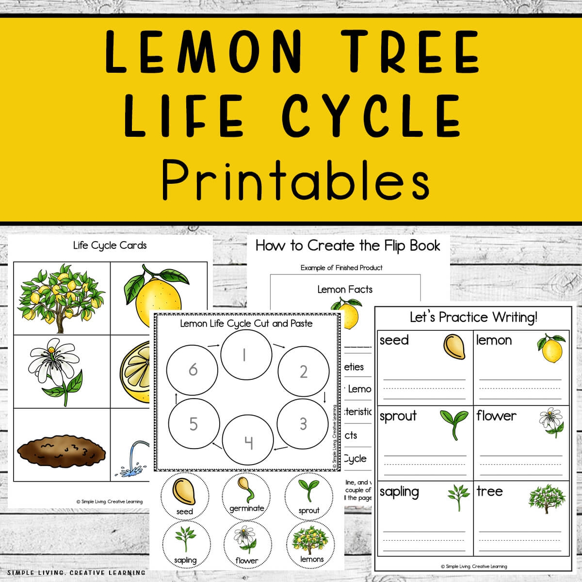 printable tree of life