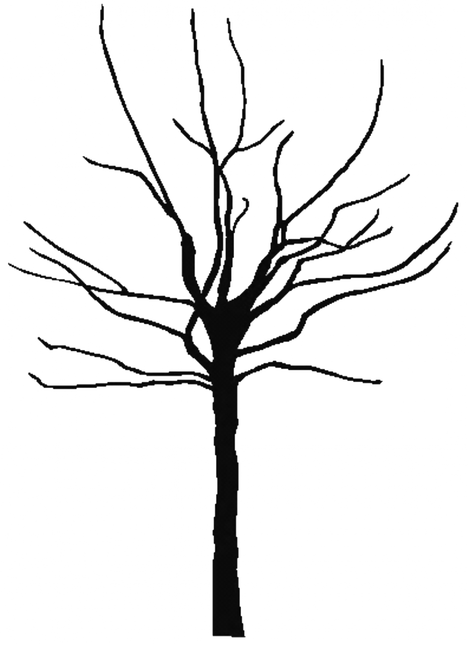 Tree Outline Printable ClipArt Best