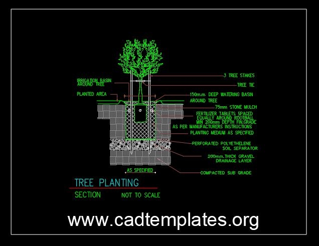 Tree Planting Details CAD Template DWG CAD Templates