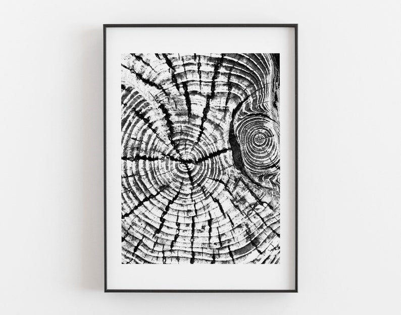 Tree Print Tree Stump Print Tree Ring Print Tree Print Etsy
