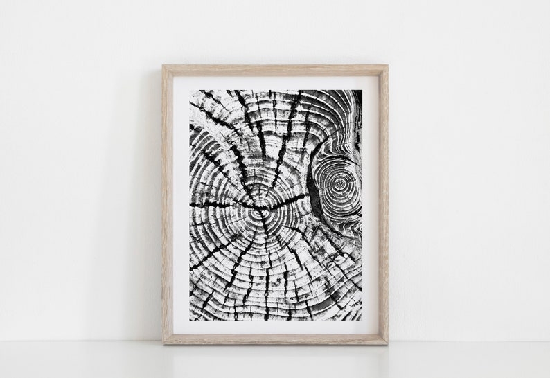 Tree Print Tree Stump Print Tree Ring Print Tree Print Etsy