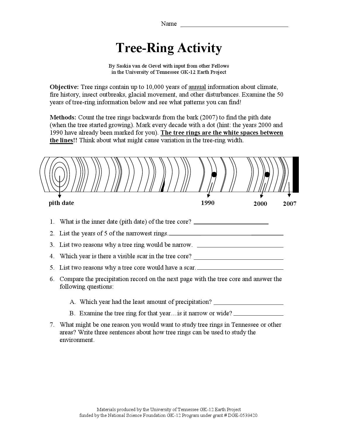 Tree Ring Activity Worksheets Library