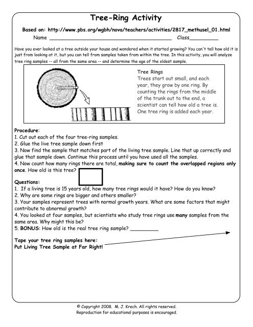 Tree Ring Activity Worksheets Library