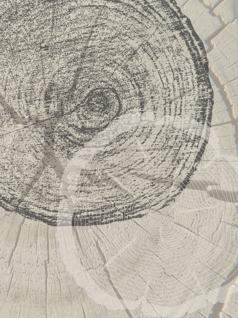 tree ring printable