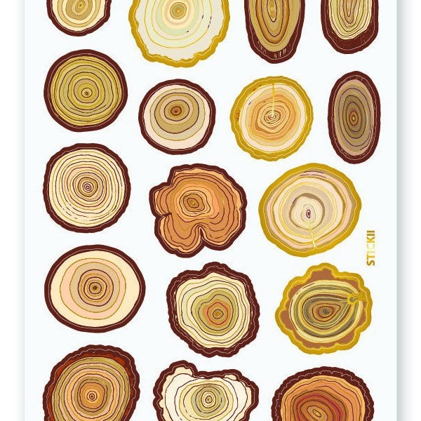 Tree Rings Worksheets Library