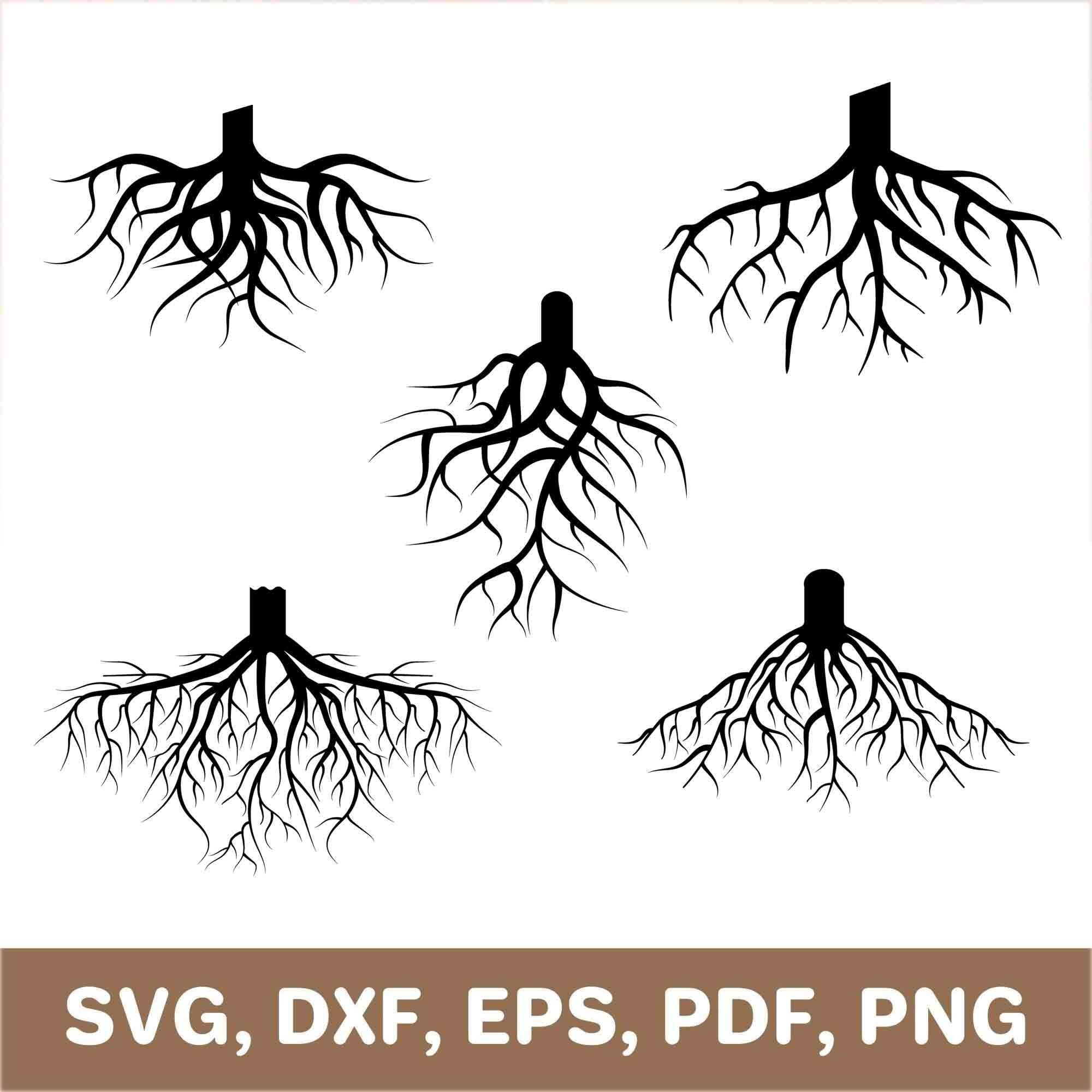 Tree Roots Sticker Ideas Woodburning Outlines Tree Art Paper Size 