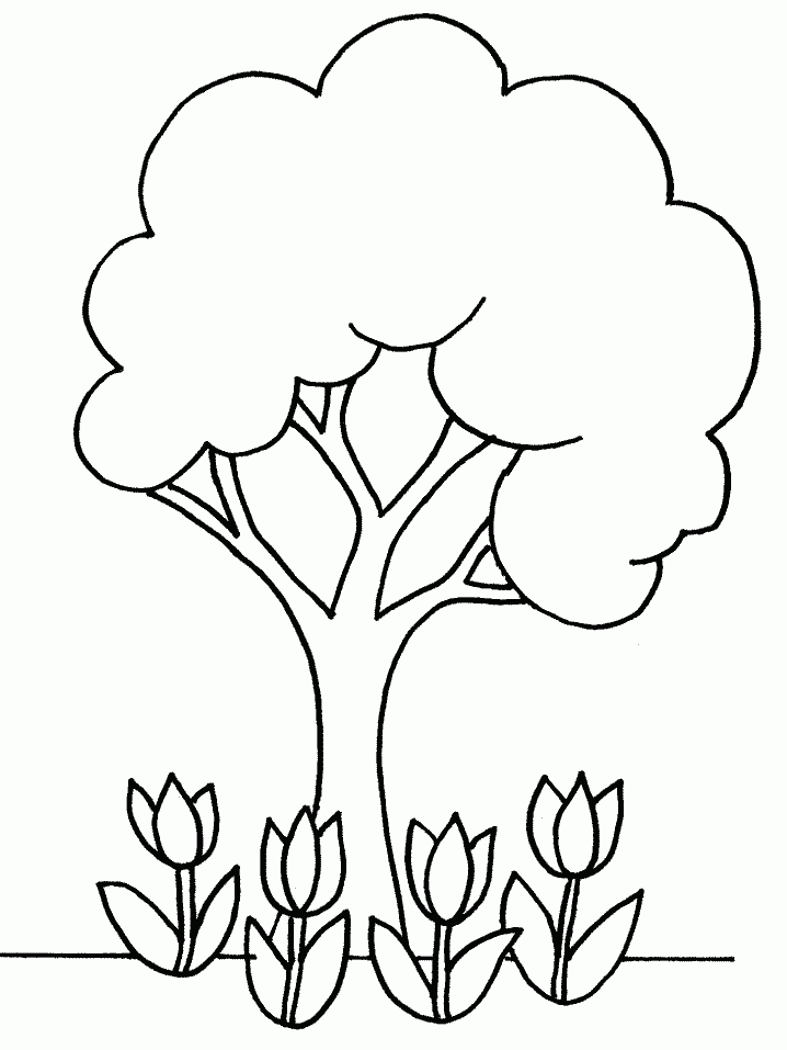 Tree Template Printable ClipArt Best