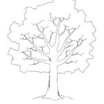 Tree Template Tim 39 s Printables