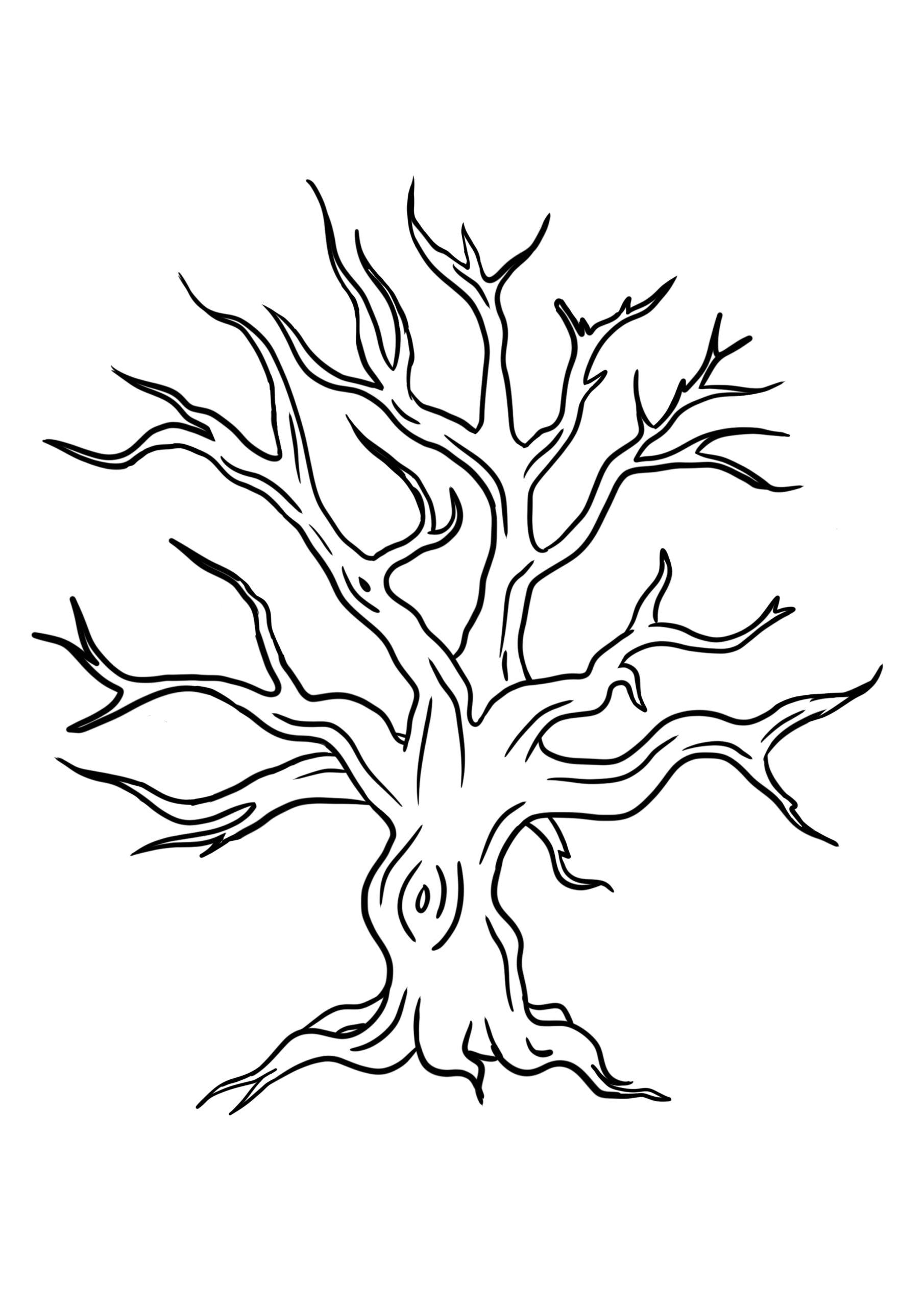 Tree Template Without Leaves 5 Free Printables Artsydee Drawing 