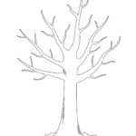 Tree Templates Tree Printables Printable Templates Online By Paul