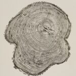 Tree Trunk Print Mary Lauren
