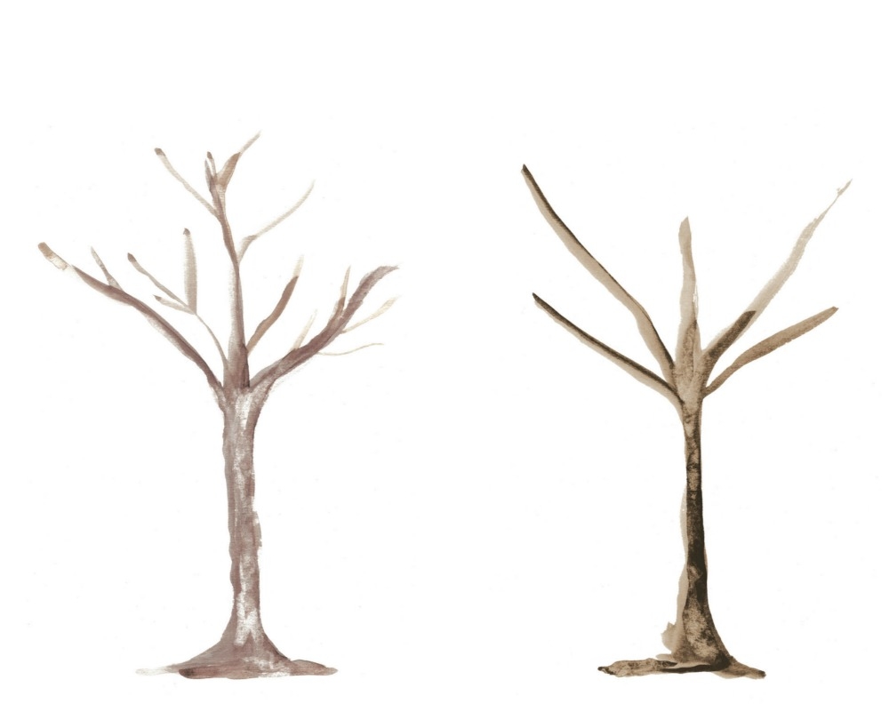 tree trunk printable pdf